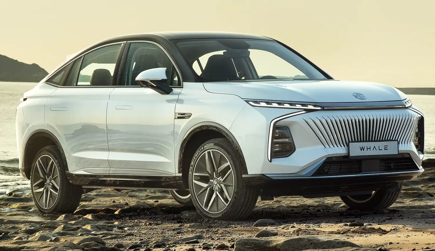 ام جي وايل 2025